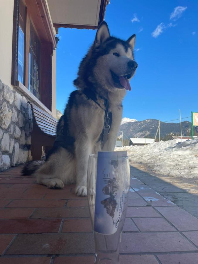 Al Cervo Albergo - Hotel Stabiziane Dış mekan fotoğraf